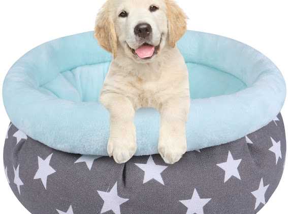 Medium Round Plush Bed Star Print4