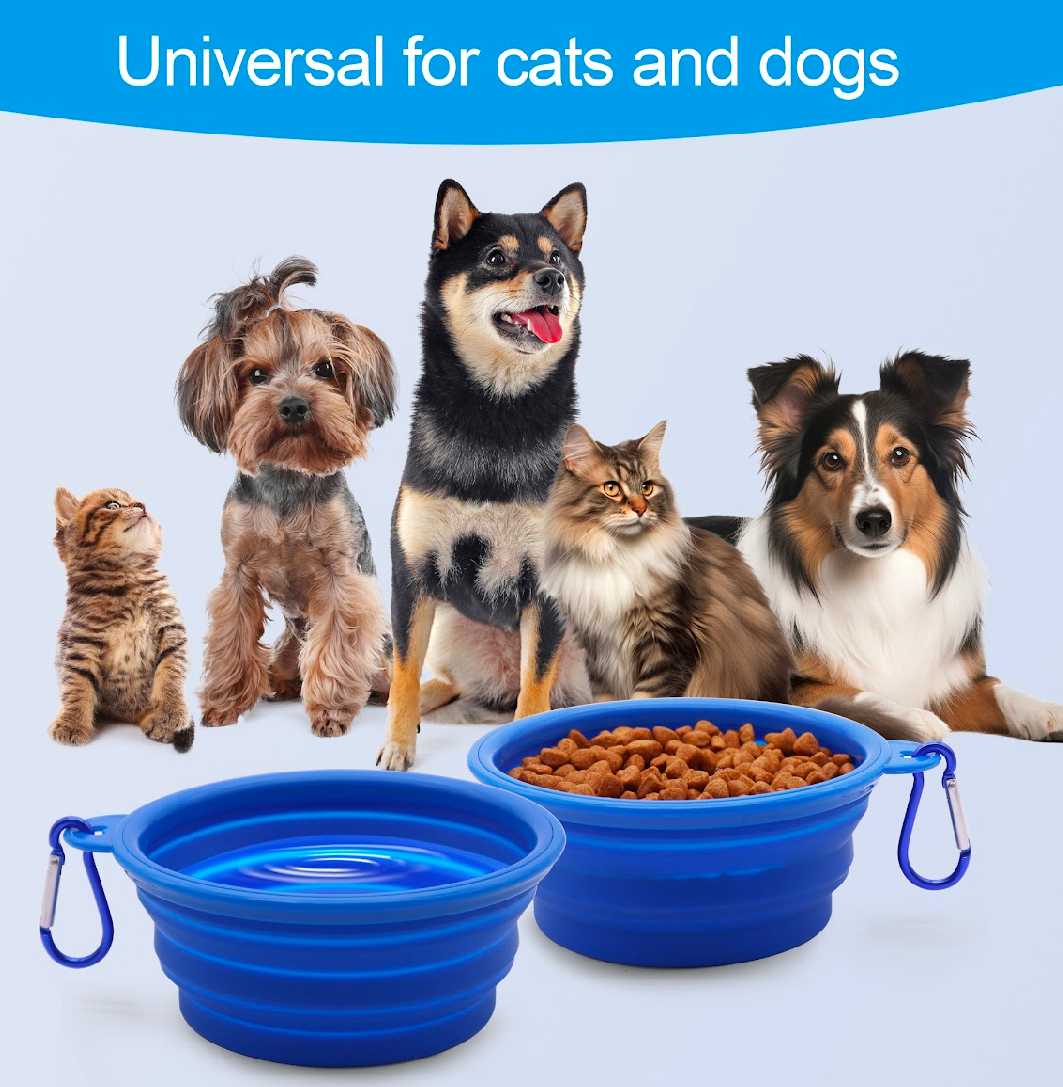 Blue 350ml Collapsible Silicone Pet Travel Bowl6