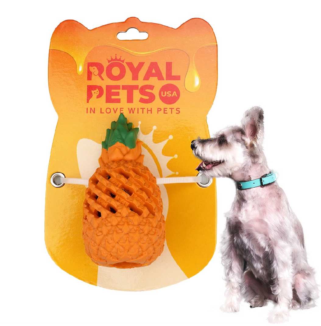 Mini Pineapple Dog Chew