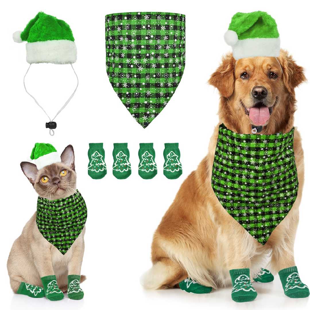 Christmas Party Set Snow Green Medium