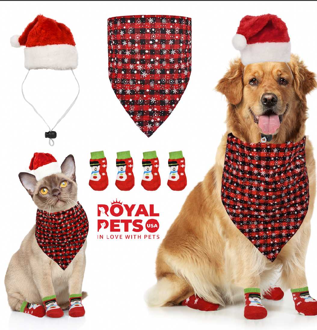 Christmas Party Set Snow Red Medium