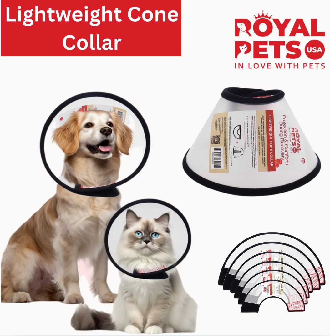 XSmall Lightweight Cone Collar