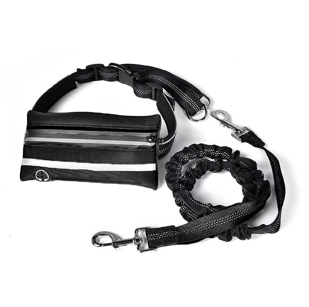 Bungee Rope Leash Reflective With Bag