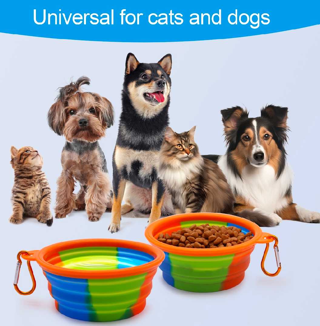 Multicolour 650ml Collapsible Silicone Pet Travel Bowl7