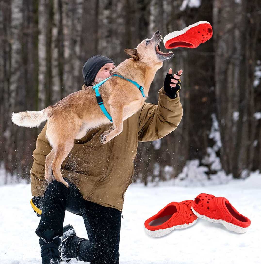 Large Slipper Dog Chew5