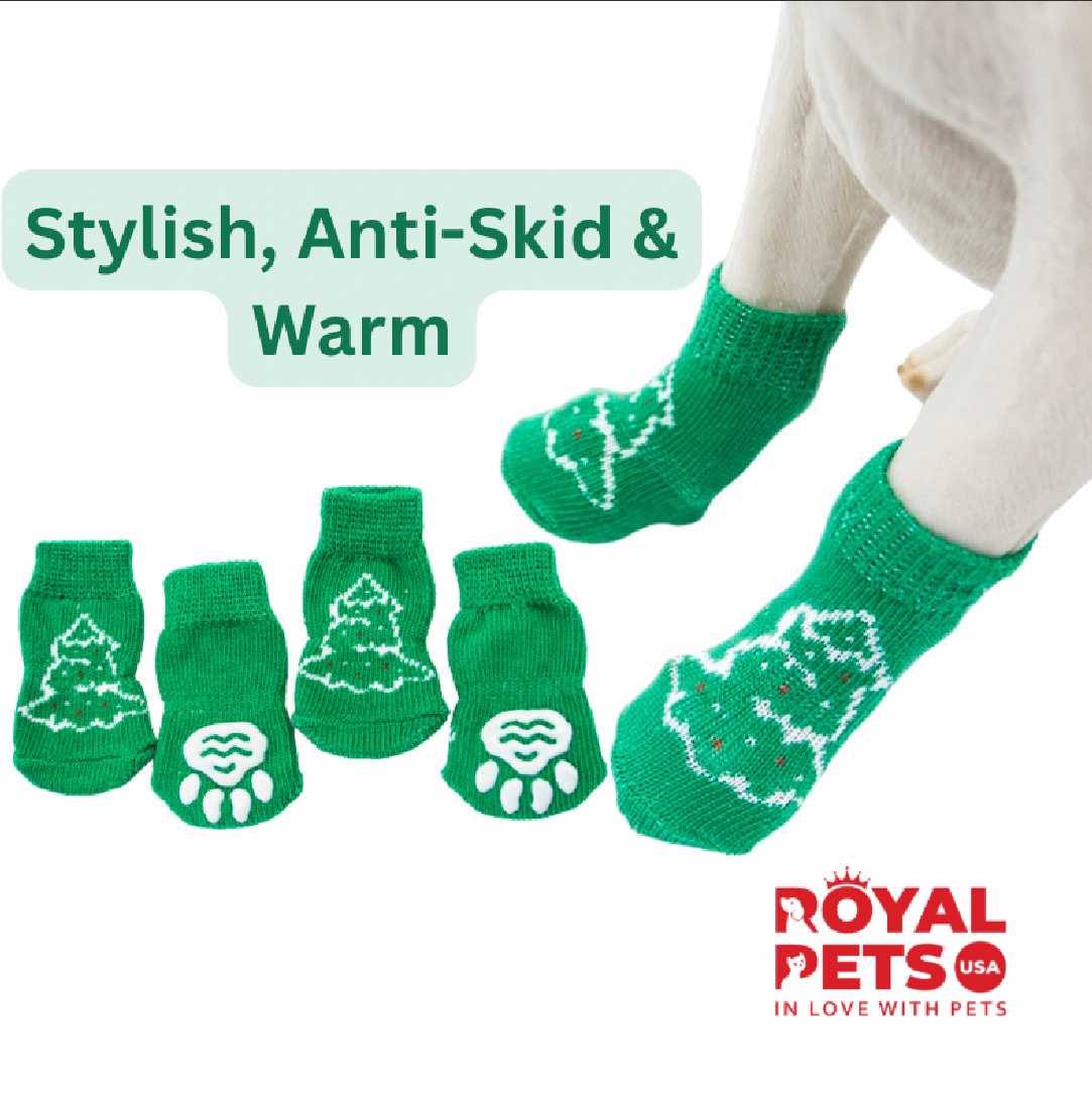 Christmas Party Set Snow Green Small1