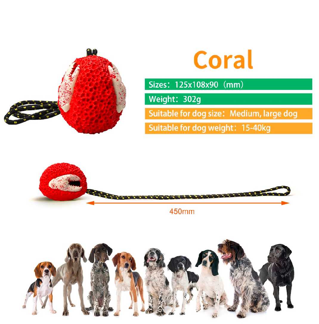 Coral Dog Chew2